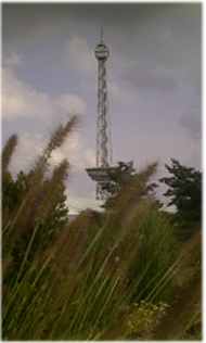 Der Funkturm. Mal mitten in der Natur