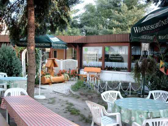 Der Blick in unserem schattigen Biergarten