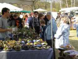 Töpfermarkt Crinitz 2011